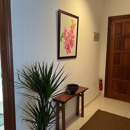 Cozy Apartman Santa Cruz de Tenerife Kültér fotó