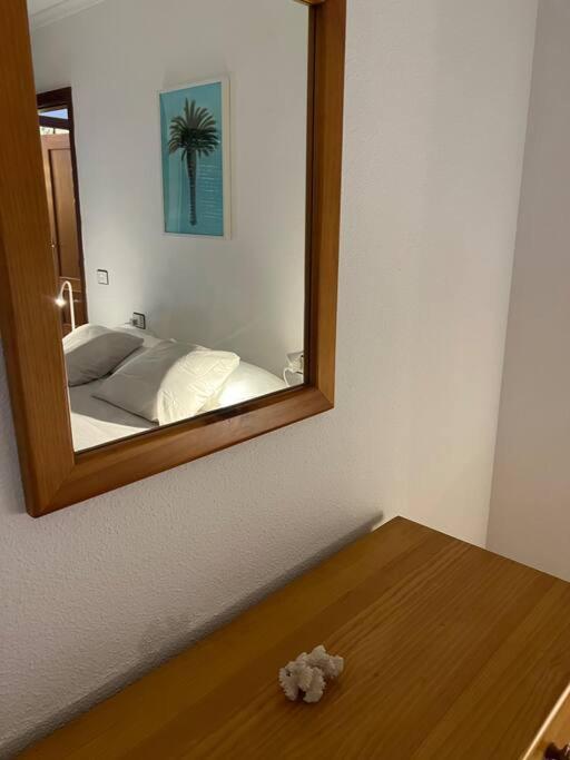 Cozy Apartman Santa Cruz de Tenerife Kültér fotó